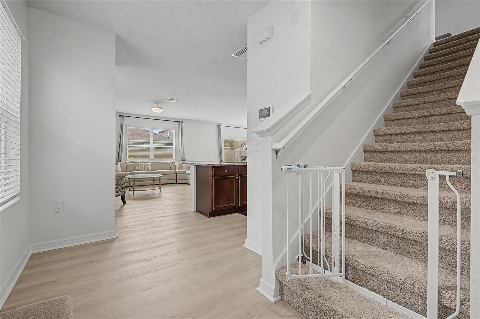 32664 Dashel Palm Ln Property Photo 16