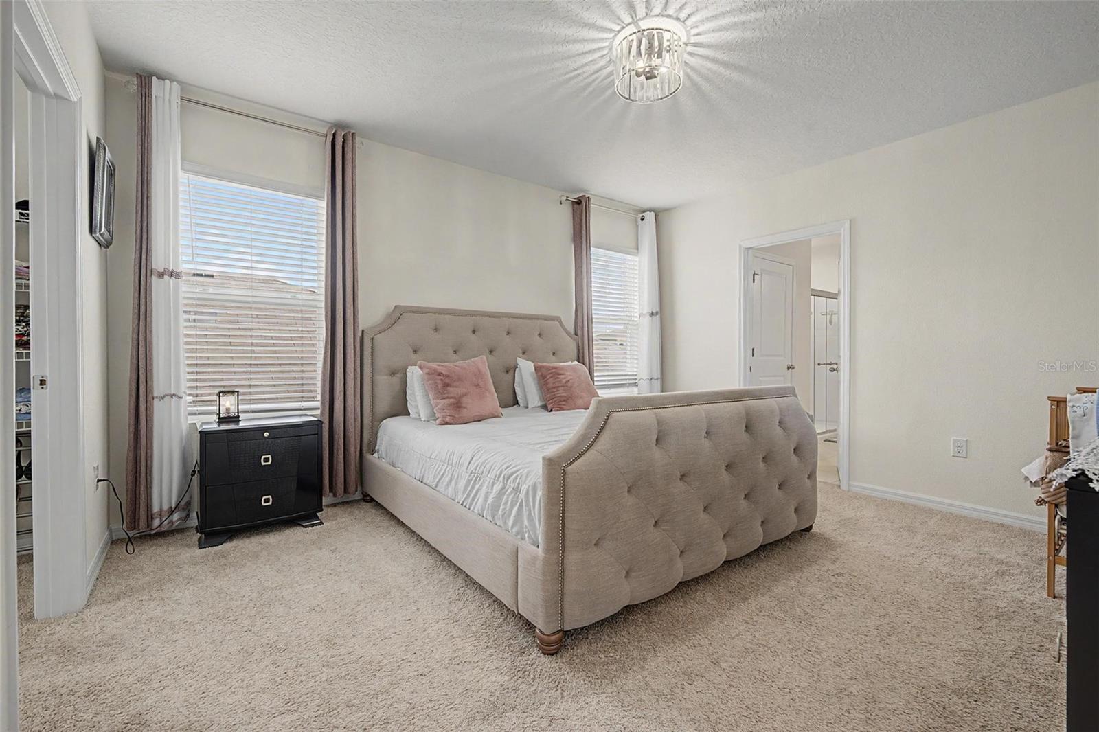 32664 Dashel Palm Ln Property Photo 17