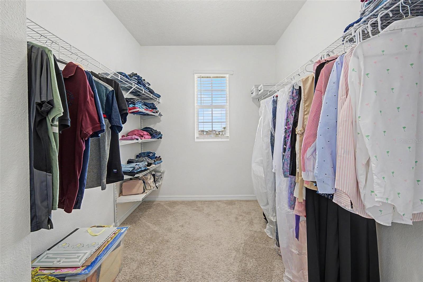 32664 Dashel Palm Ln Property Photo 18