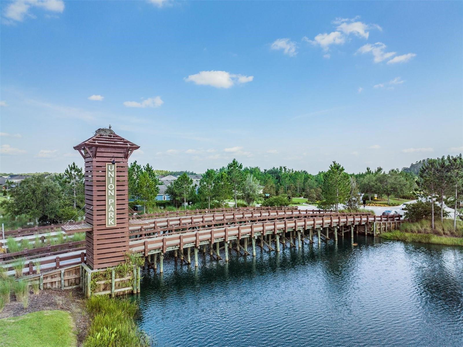 32664 Dashel Palm Ln Property Photo 25