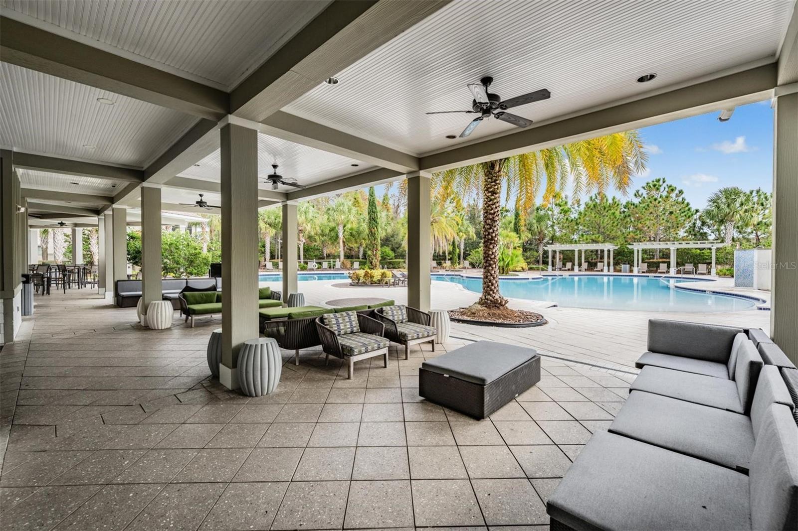 32664 Dashel Palm Ln Property Photo 29