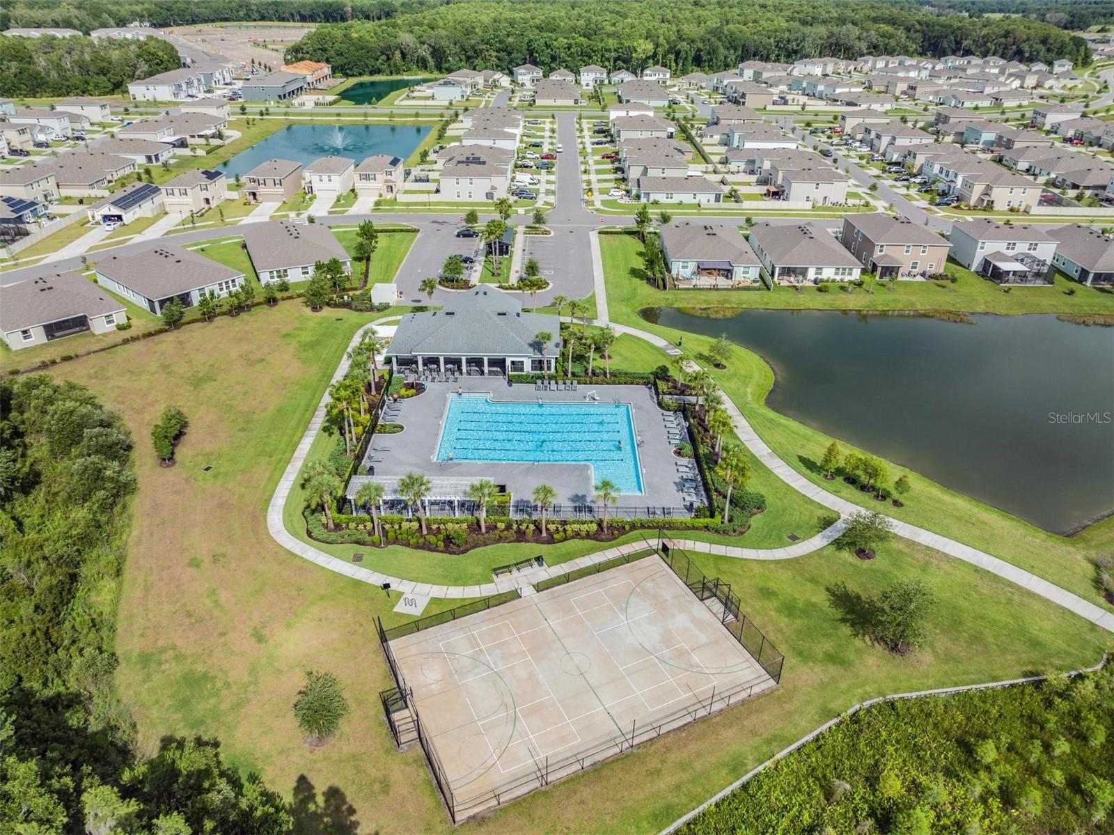 32664 Dashel Palm Ln Property Photo 31