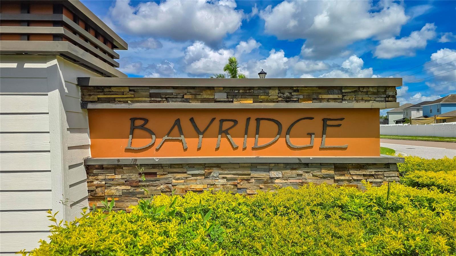 1521 Custer Bayou St Property Photo 81