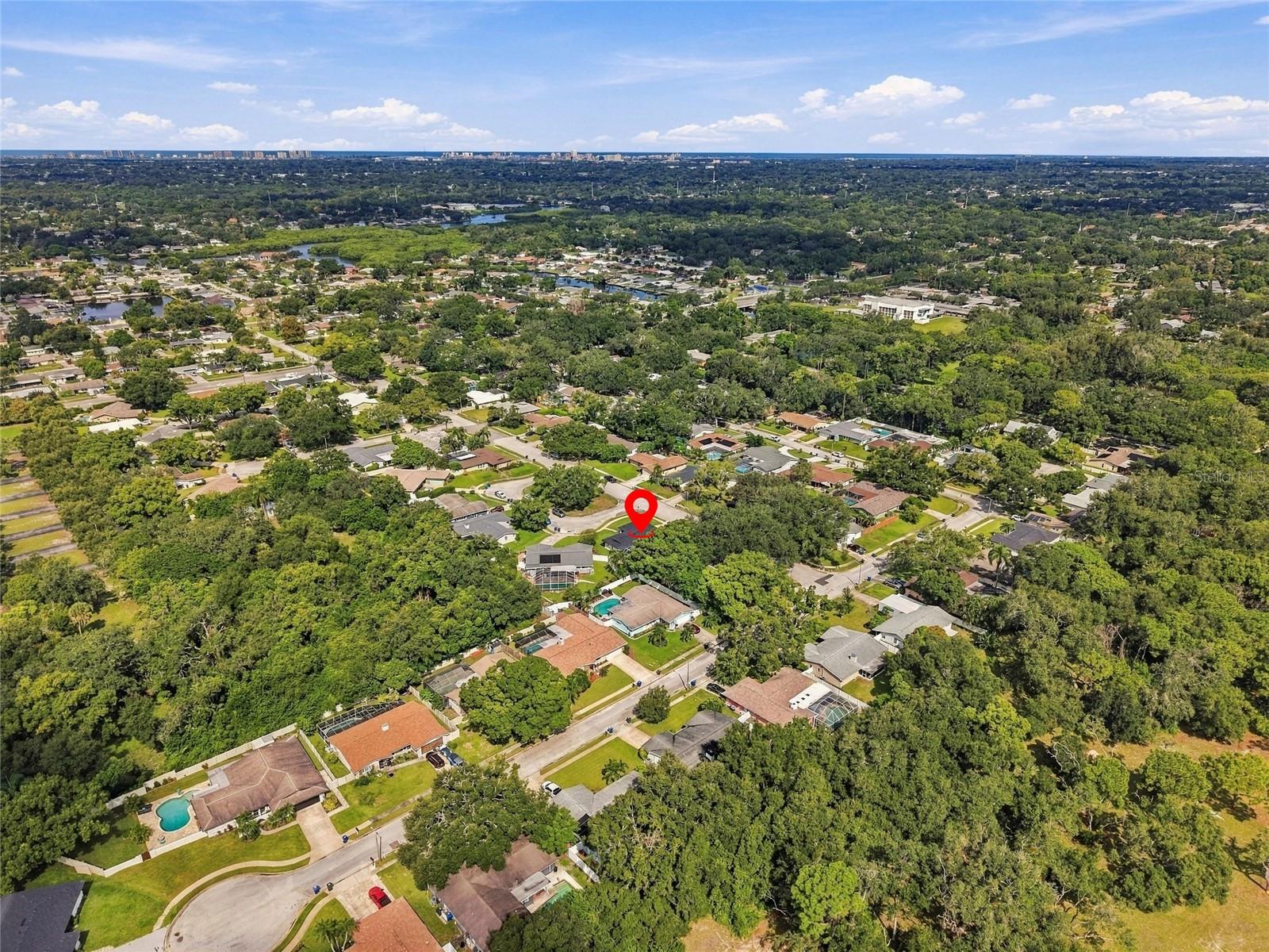 2259 El De Oro Cir Property Photo 47
