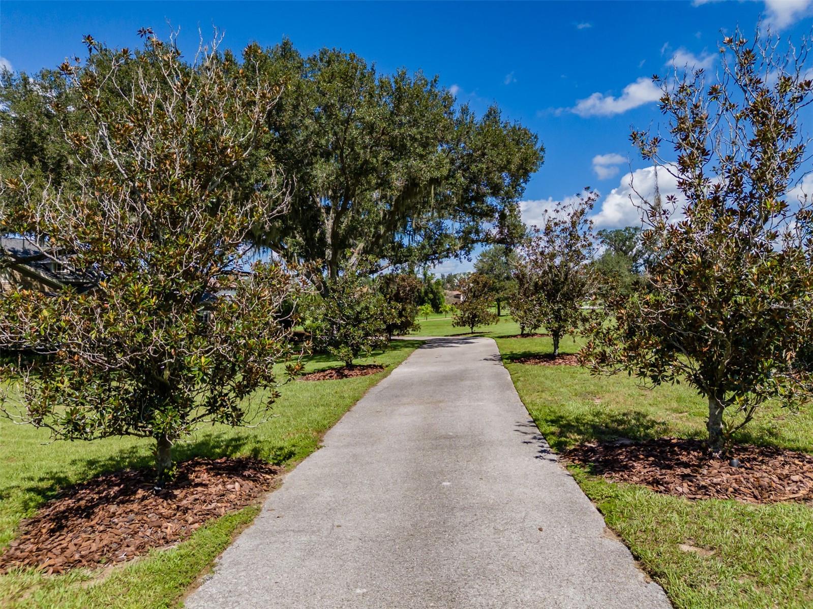 10501 Broadland Pass Property Photo 80