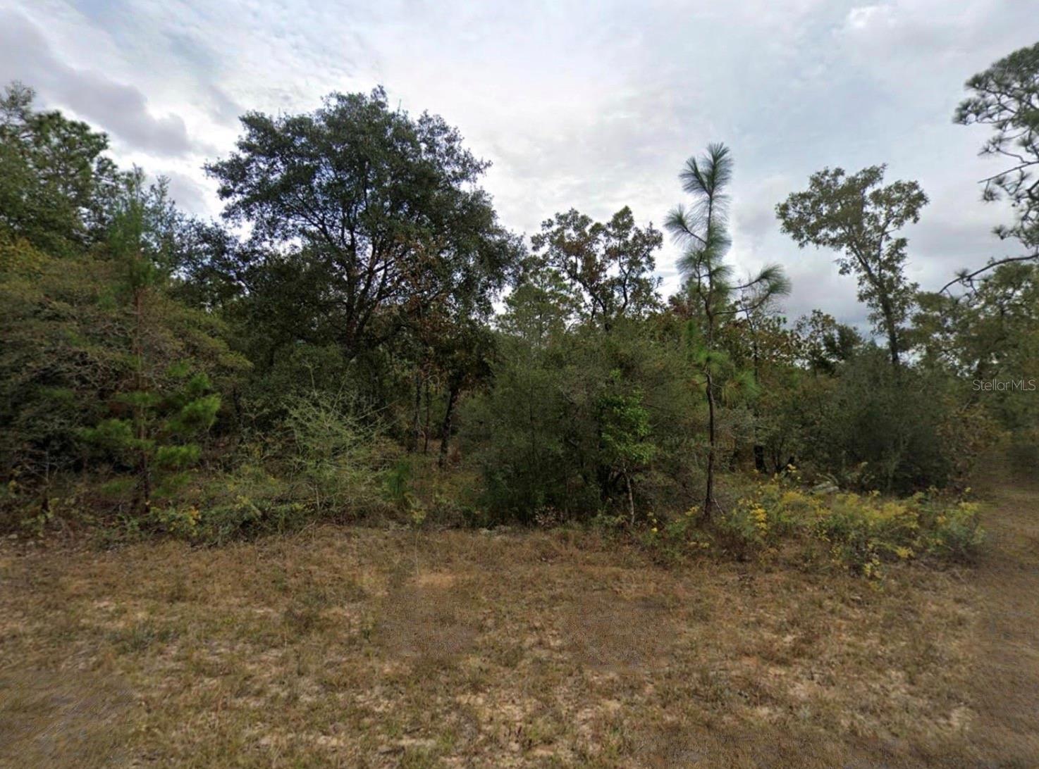 Unassaigned Property Photo 2