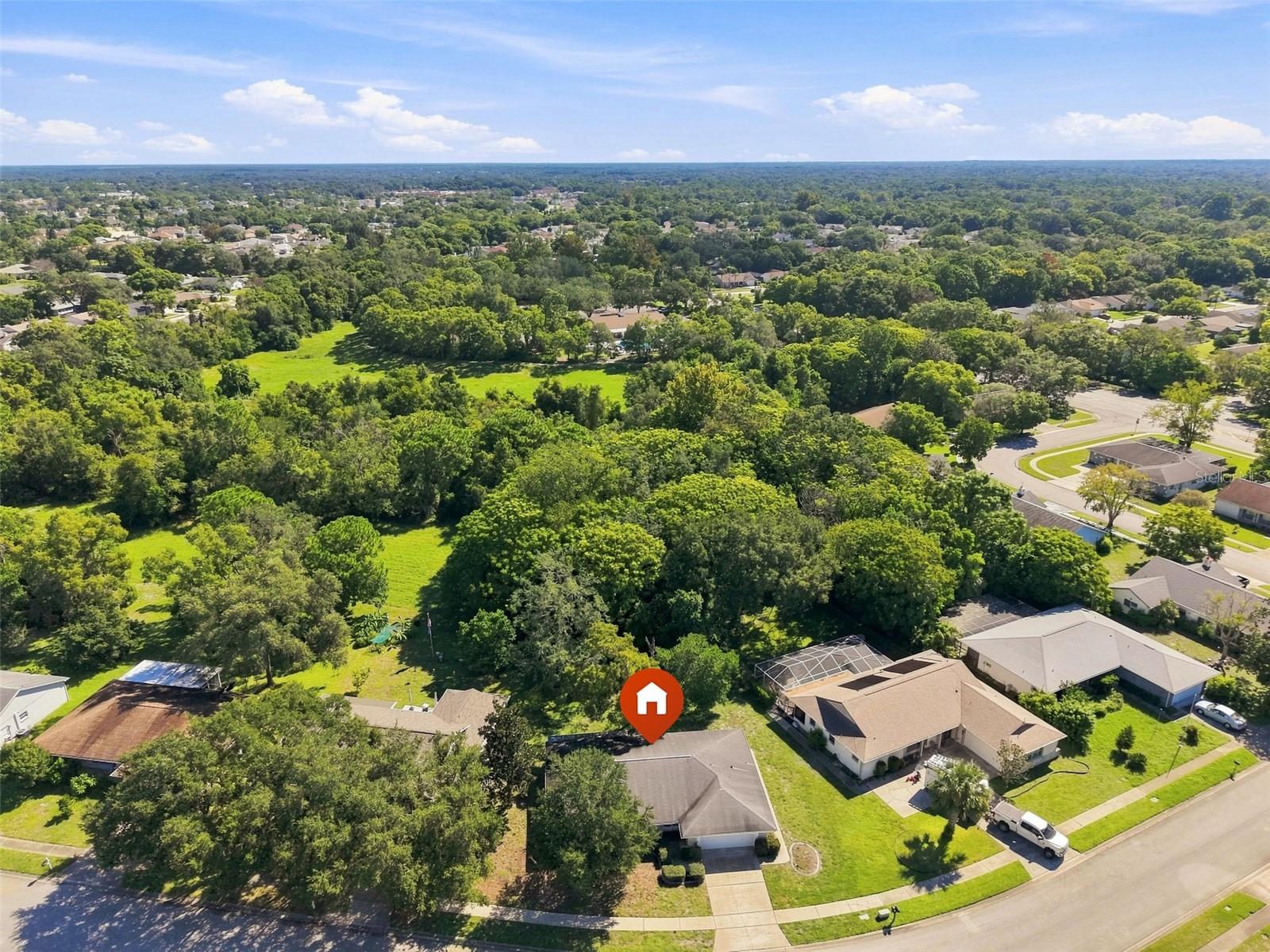 13300 Shadberry Ln Property Photo 4