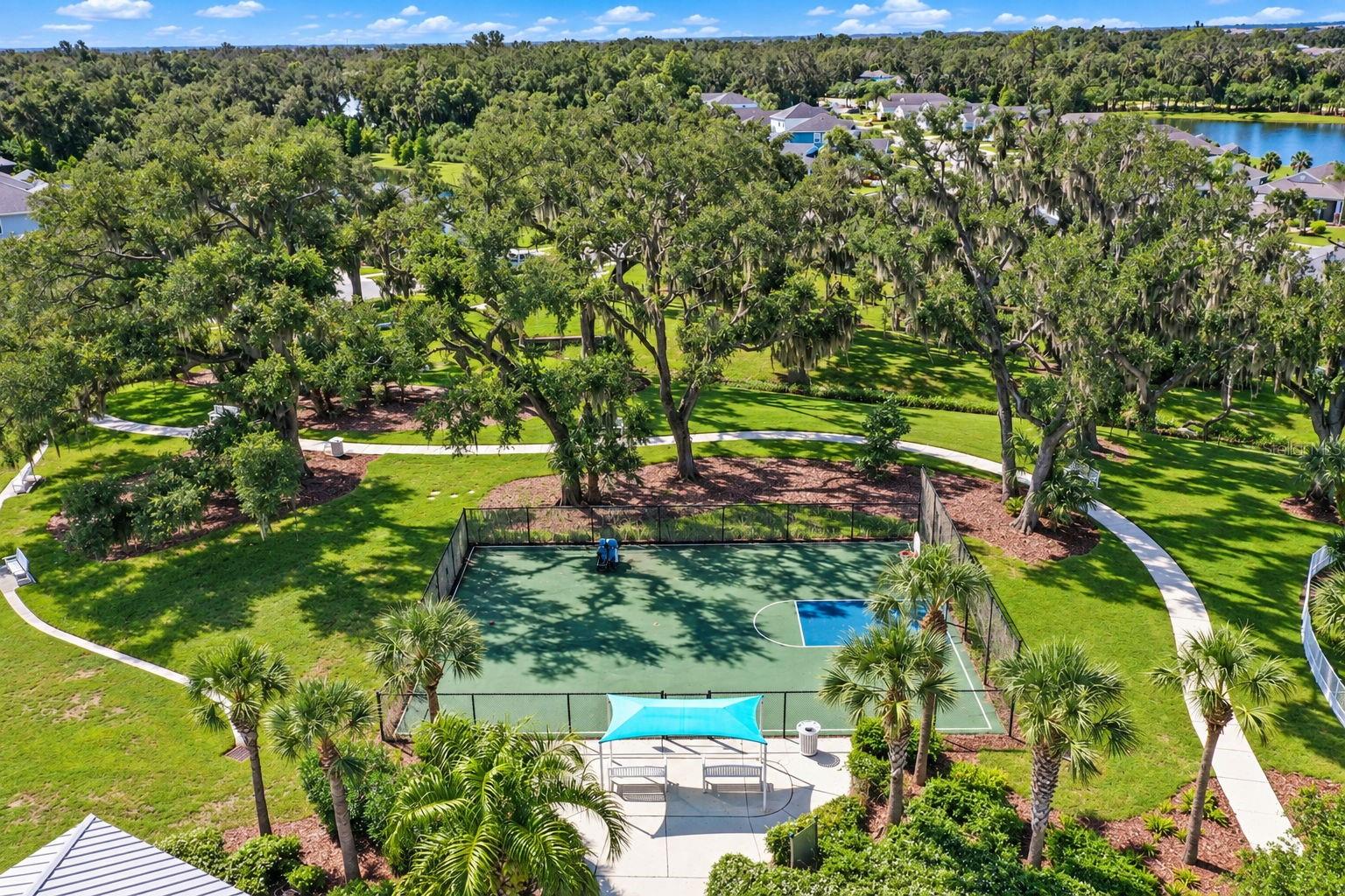 3820 Shimmering Oaks Dr Property Photo 61