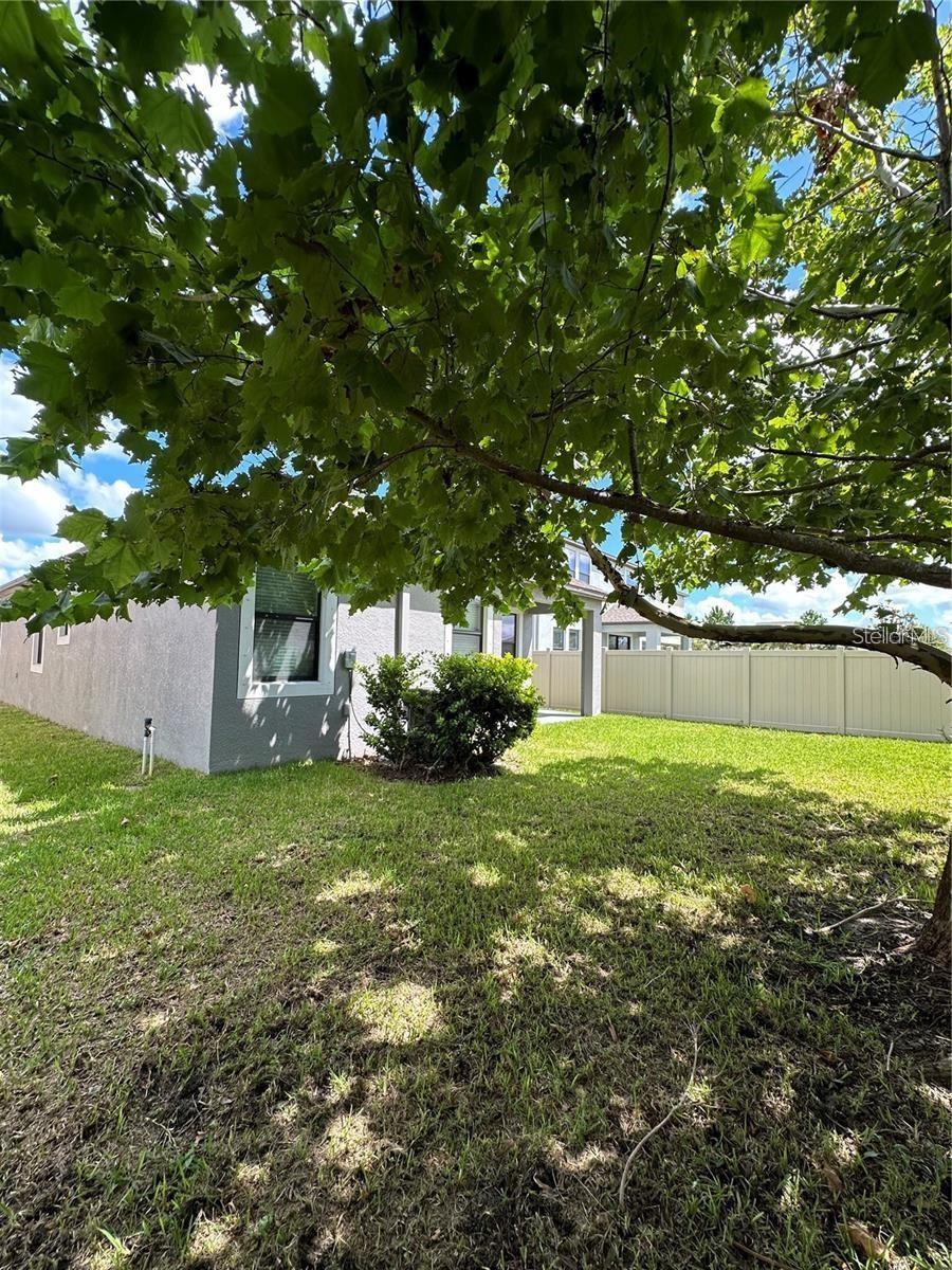 9845 Ivory Dr Property Photo 39
