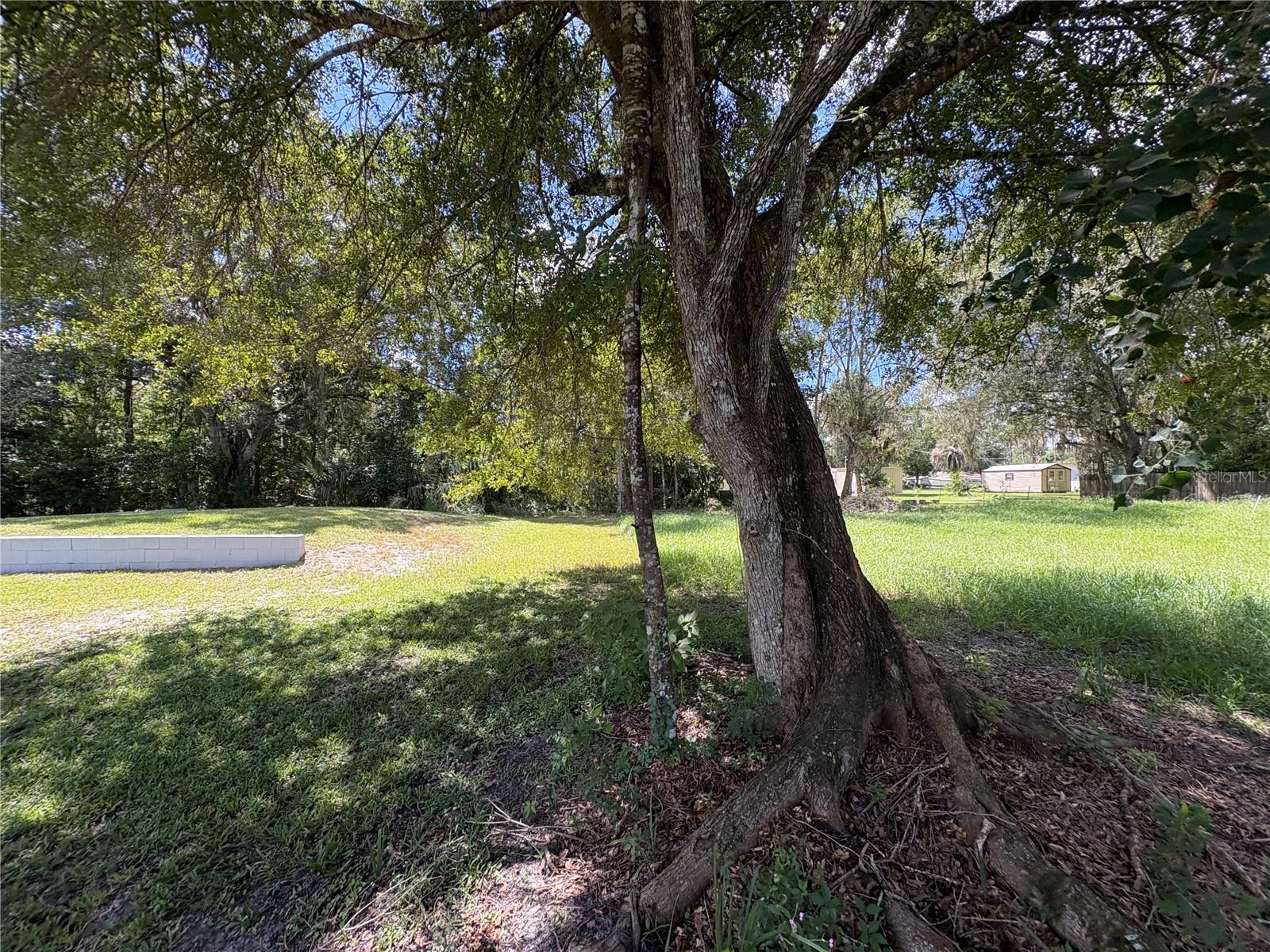 10526 E Irene St Property Photo 43