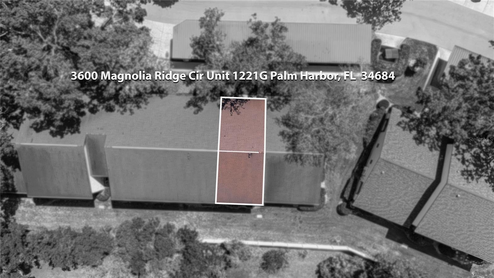 3600 Magnolia Ridge Cir #1221 Property Photo 46