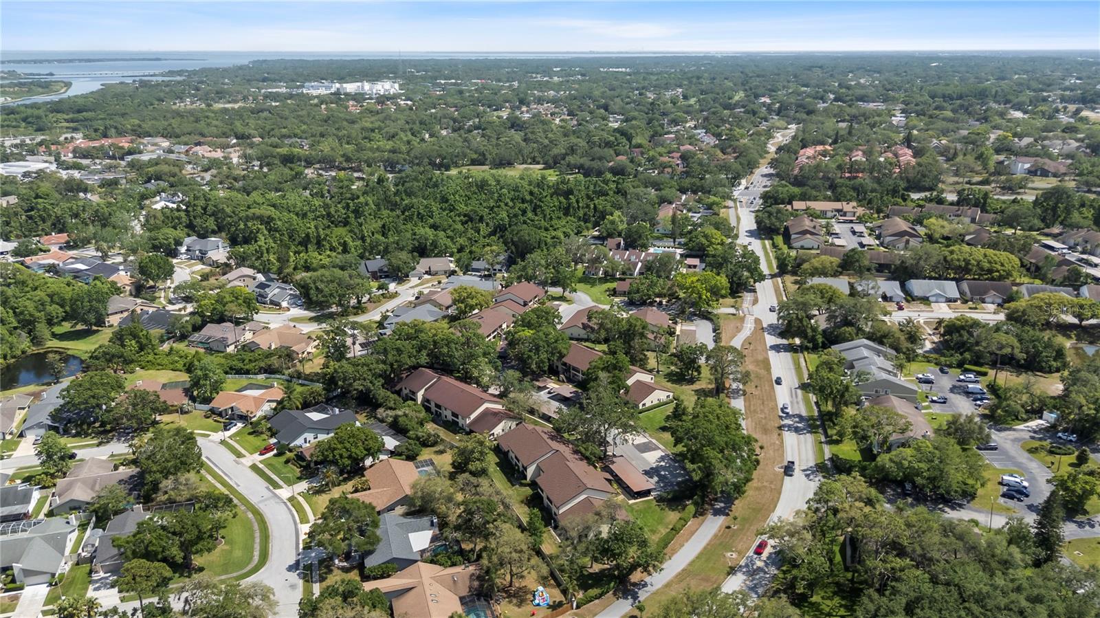 3600 Magnolia Ridge Cir #1221 Property Photo 50