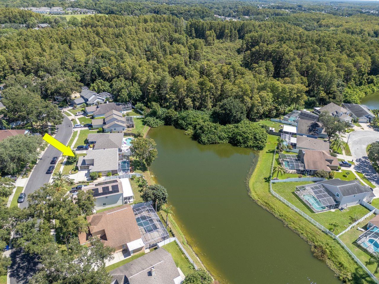 4842 Wellbrook Dr Property Photo 4