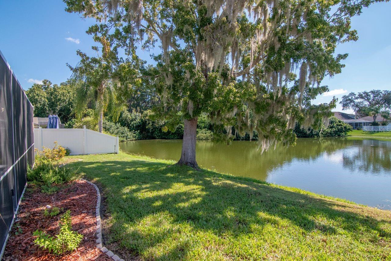 4842 Wellbrook Dr Property Photo 54