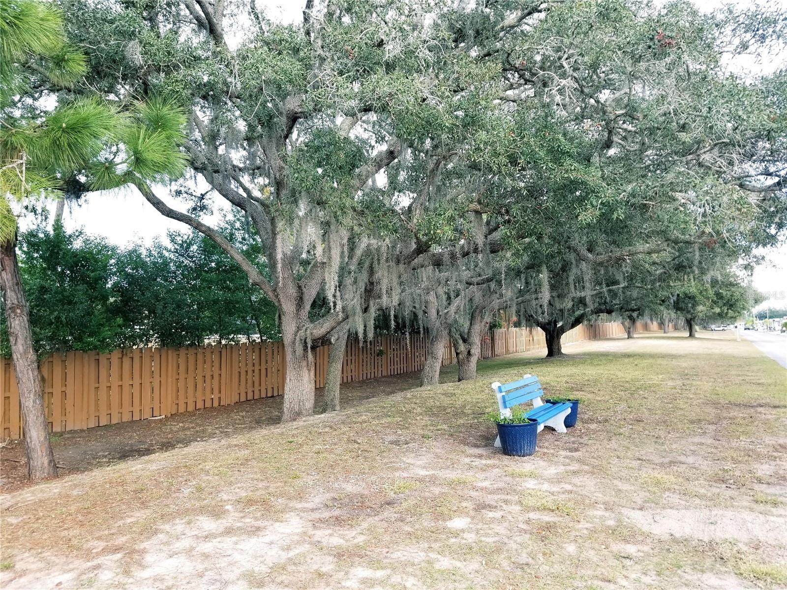 3302 Kauna Point Dr Property Photo 4