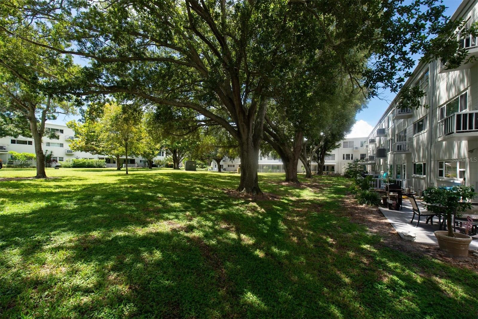 2261 Swedish Dr #51 Property Photo 25