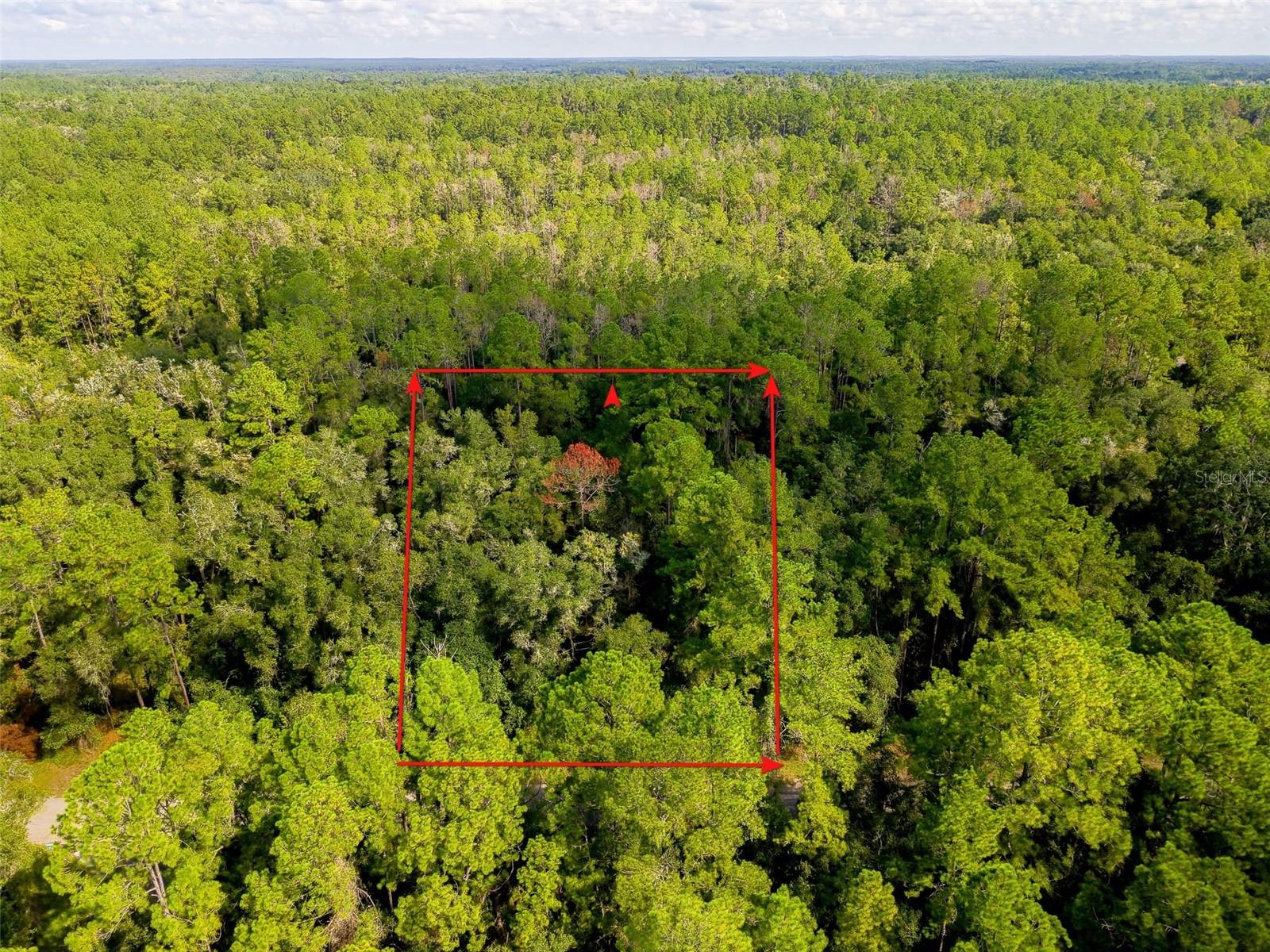 1163 E Odin Dr Property Photo 12