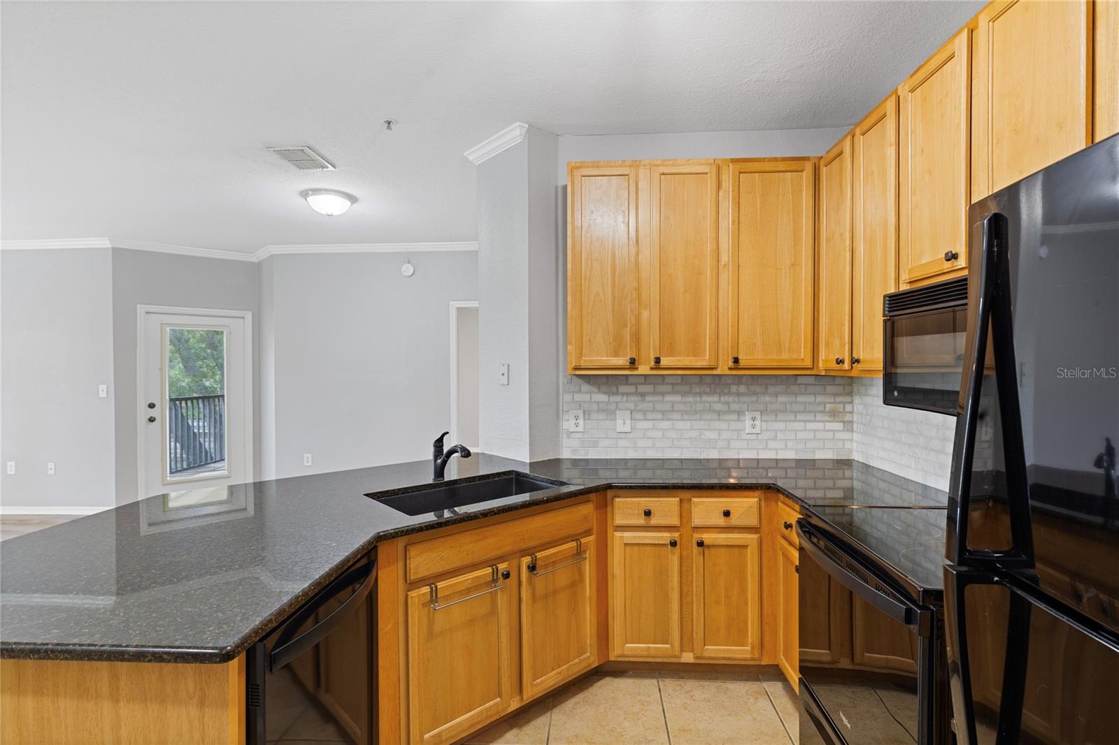 10105 Courtney Oaks Cir #203 Property Photo 3