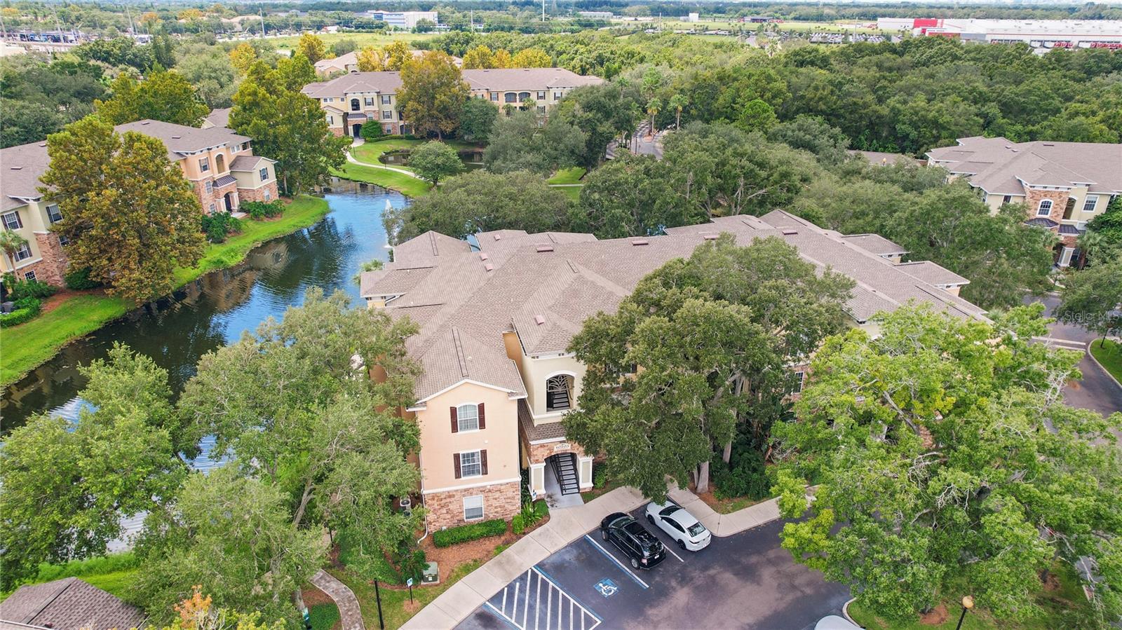 10105 Courtney Oaks Cir #203 Property Photo 22
