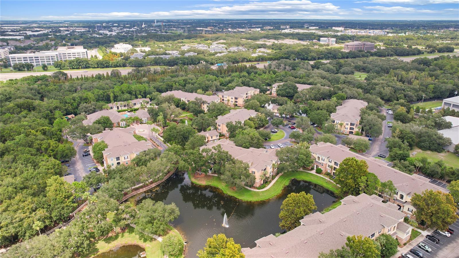 10105 Courtney Oaks Cir #203 Property Photo 26