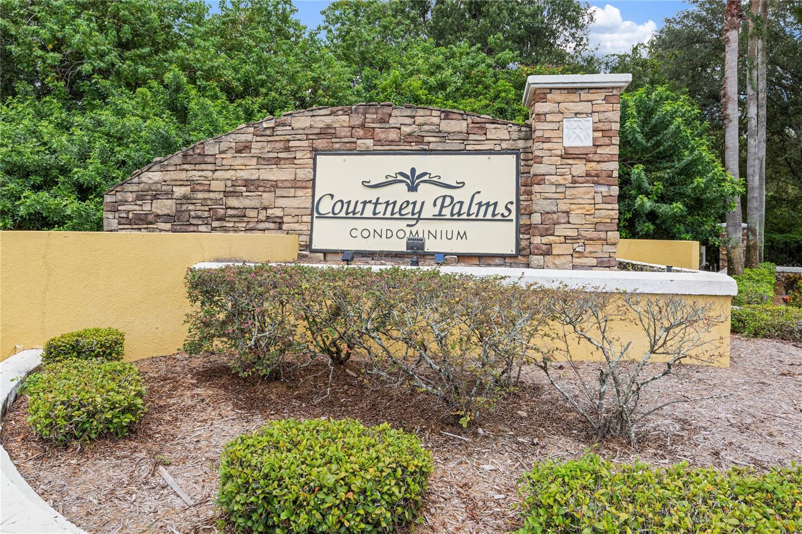 10105 Courtney Oaks Cir #203 Property Photo 30