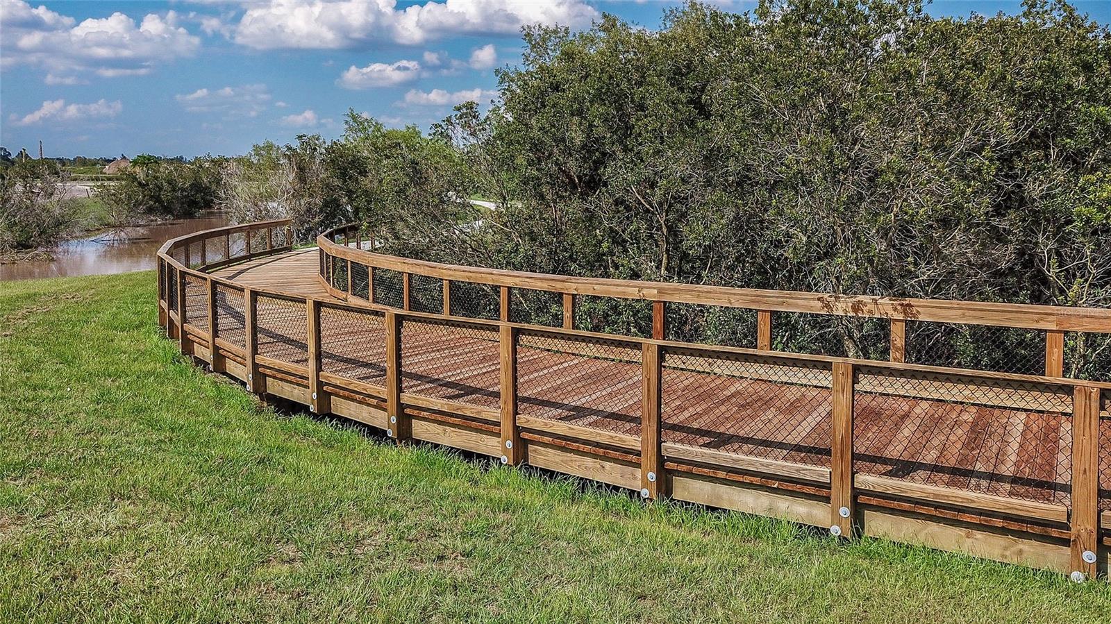13125 Foxtail Fern Dr Property Photo 65