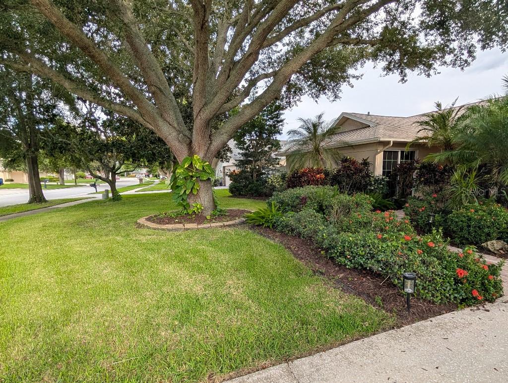 2673 Montague Ct W Property Photo 2