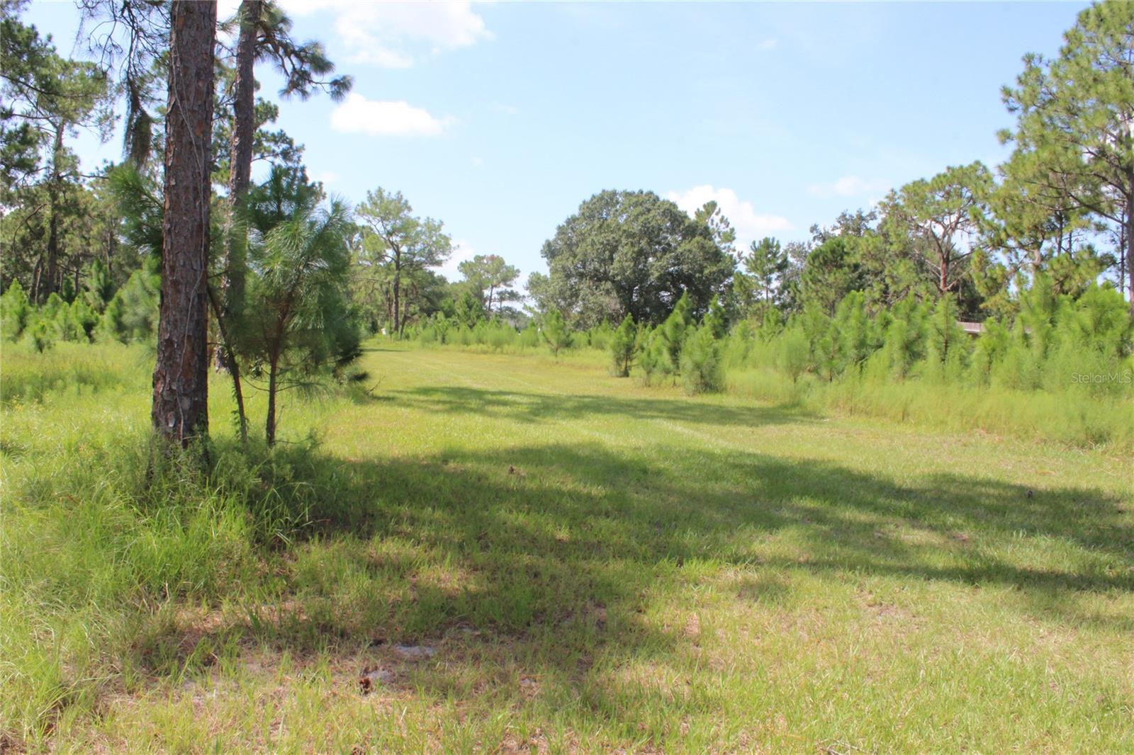 Us Highway 98 W Property Photo 3