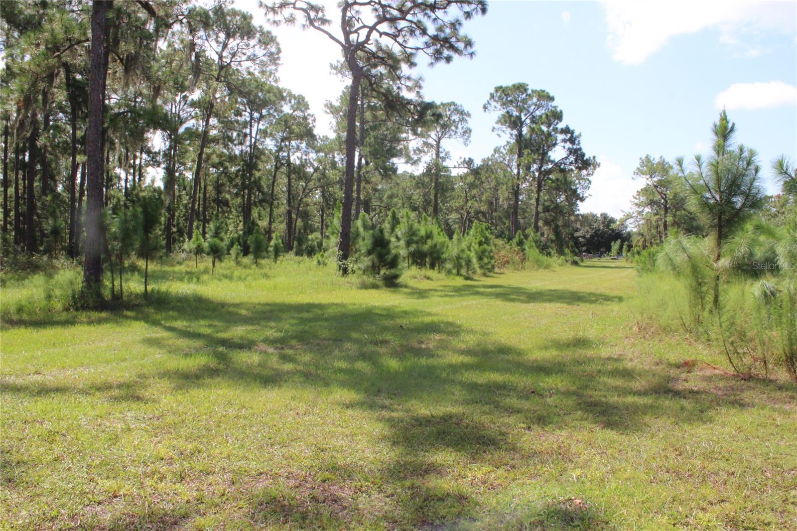Us Highway 98 W Property Photo 12