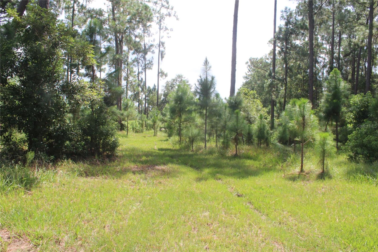Us Highway 98 W Property Photo 36