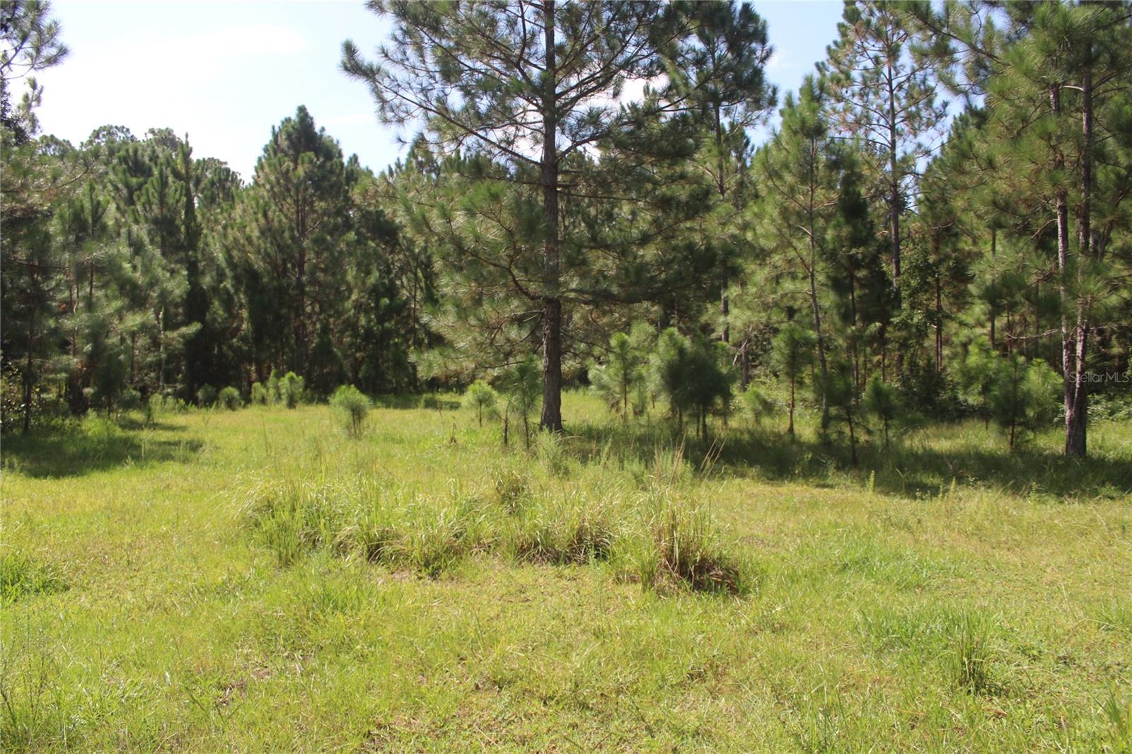 Us Highway 98 W Property Photo 88
