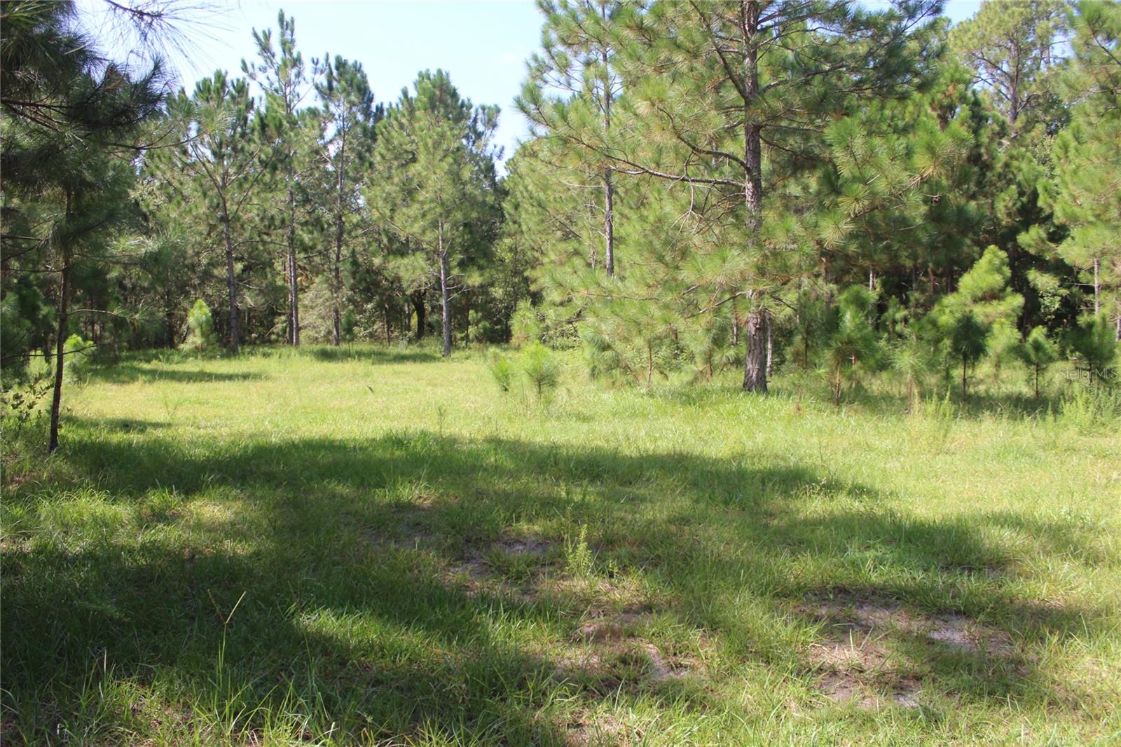 Us Highway 98 W Property Photo 91