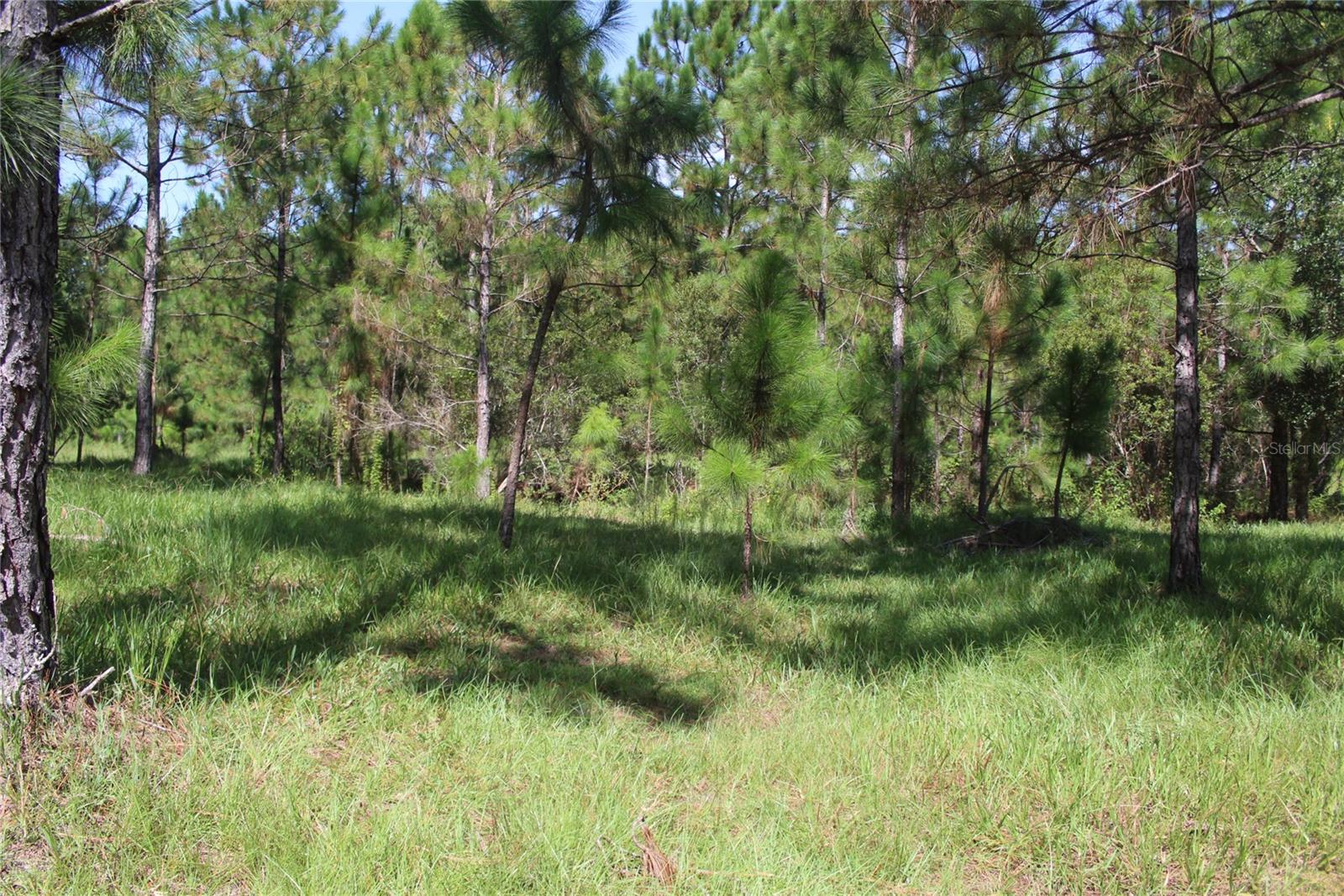 Us Highway 98 W Property Photo 97