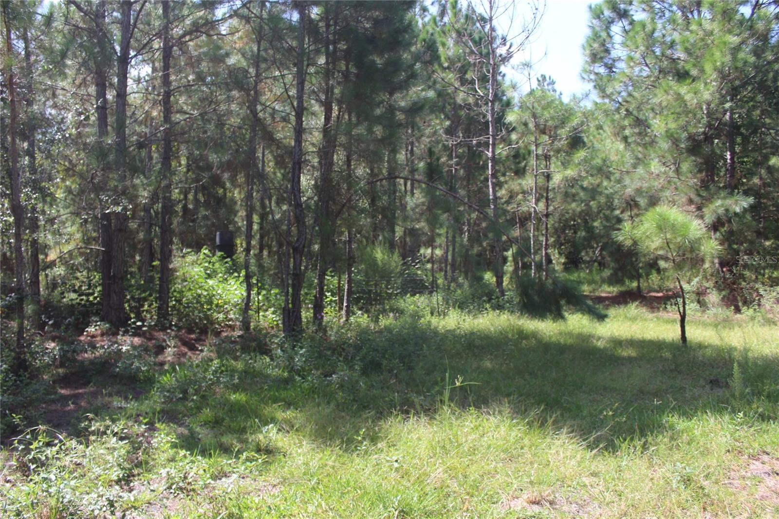 Us Highway 98 W Property Photo 100