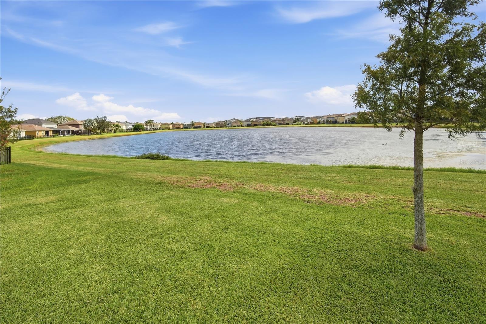 10016 Newminster Loop Property Photo 20