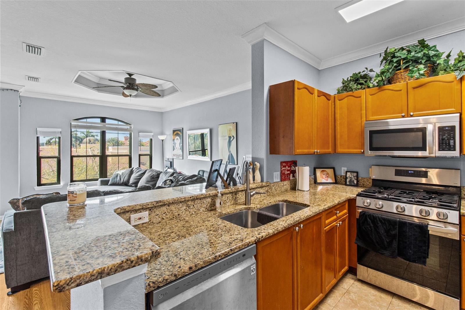2709 Via Cipriani #532b Property Photo 9