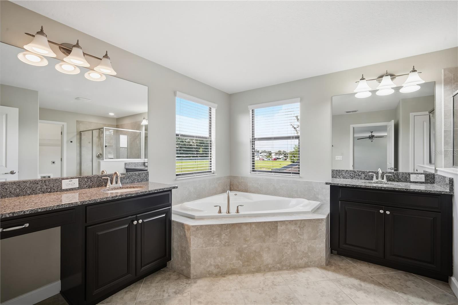 11929 Twilight Darner Pl Property Photo 19