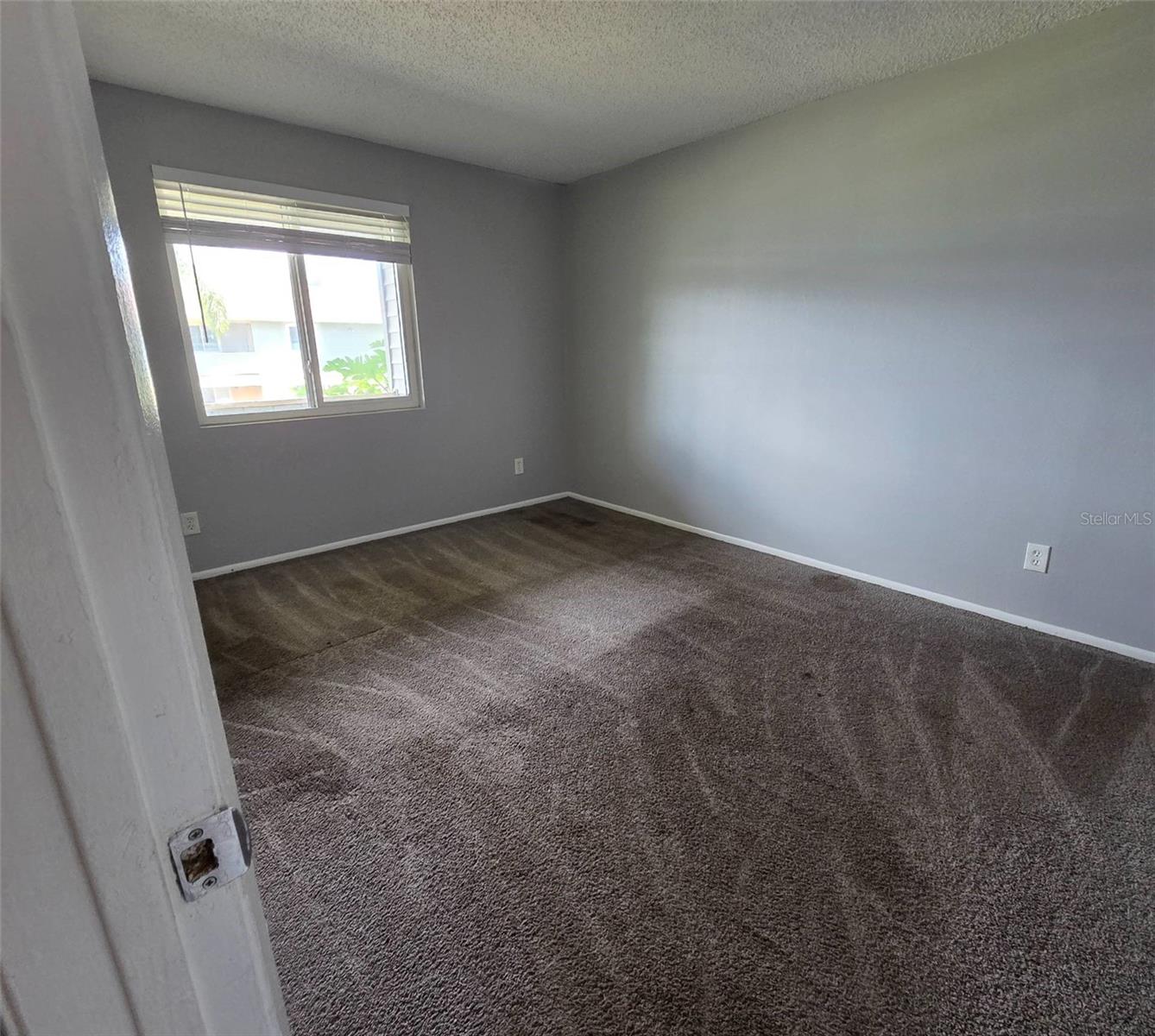 206 Thorn Tree Pl Property Photo 4