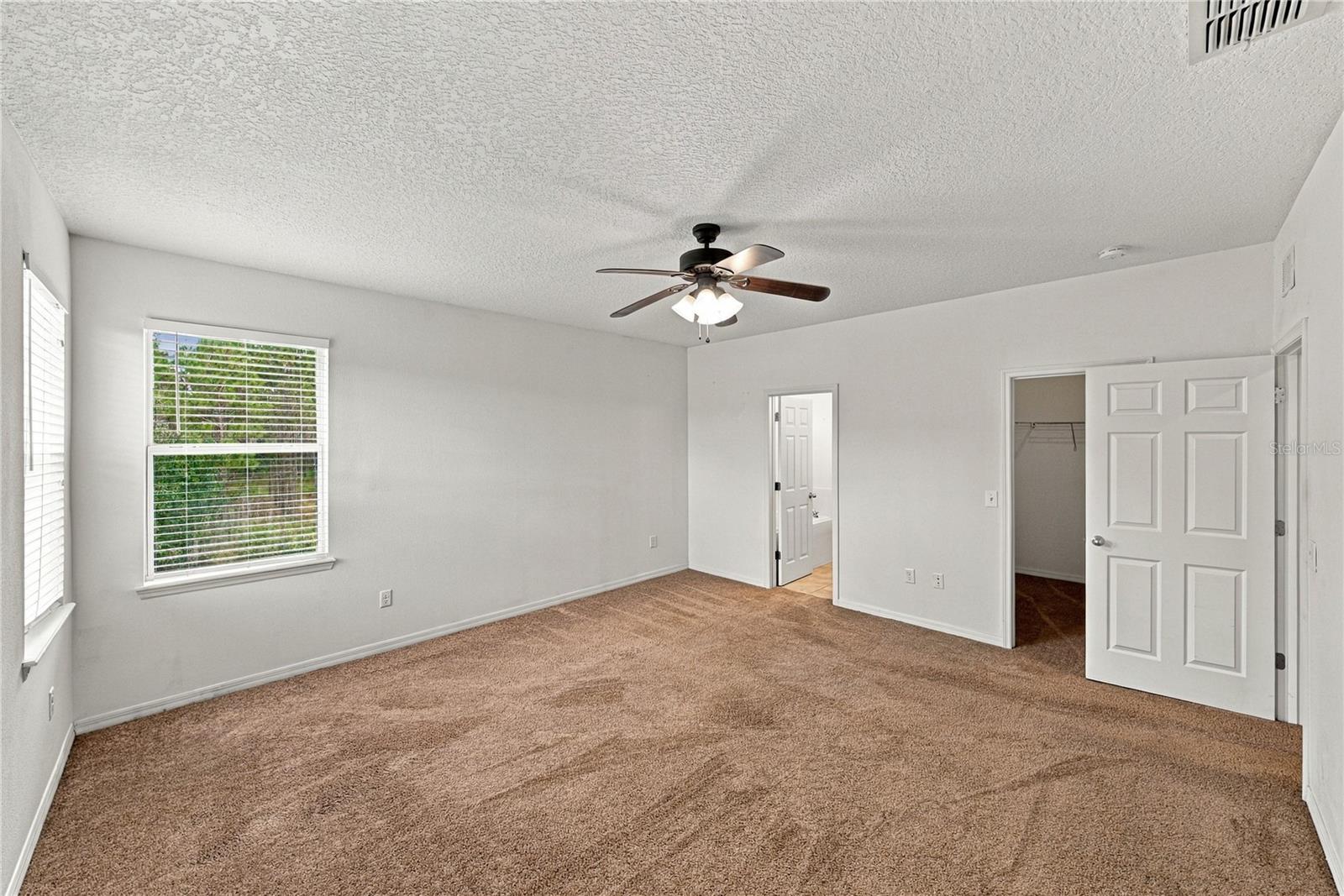 30805 Satinleaf Run Property Photo 32