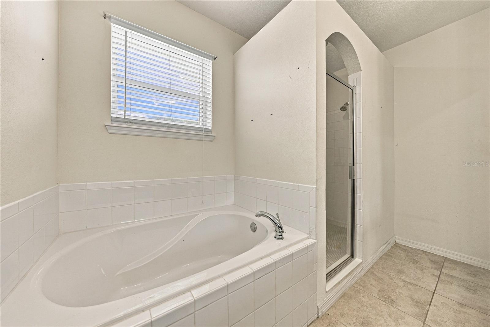 30805 Satinleaf Run Property Photo 35