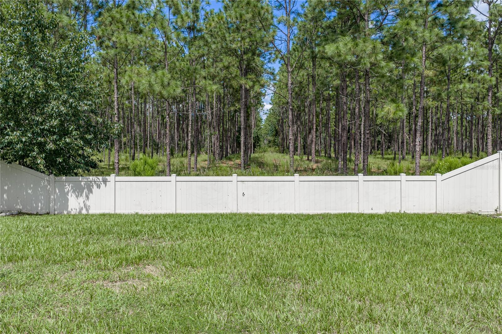 30805 Satinleaf Run Property Photo 51