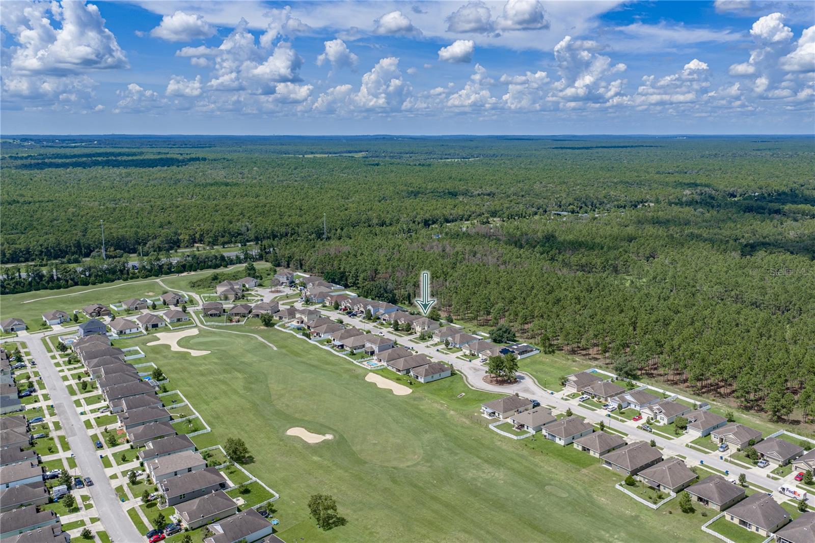 30805 Satinleaf Run Property Photo 55