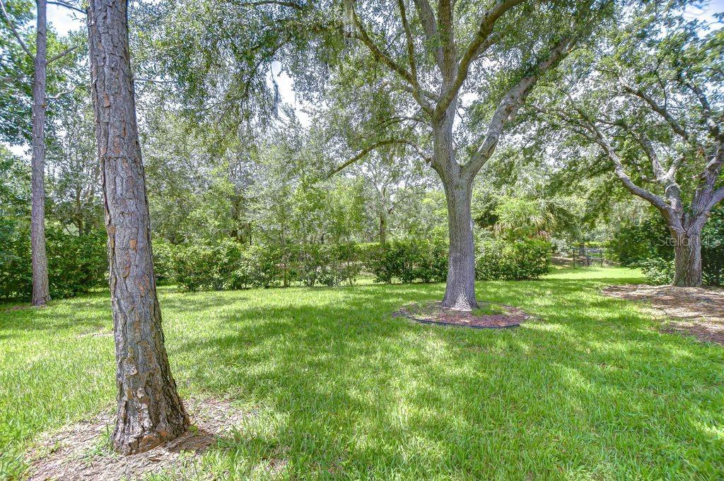8005 Shaddock Pl Property Photo 27