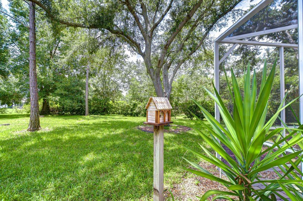8005 Shaddock Pl Property Photo 28