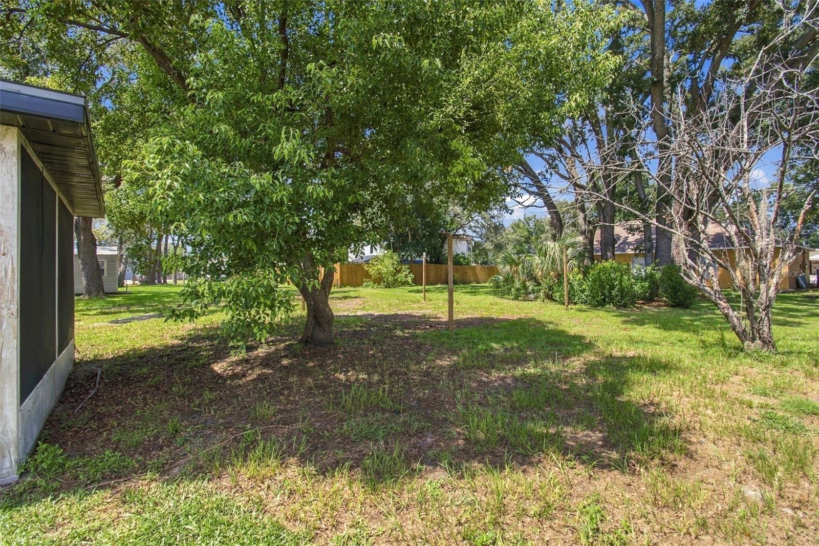 9007 Spring Hill Dr Property Photo 42