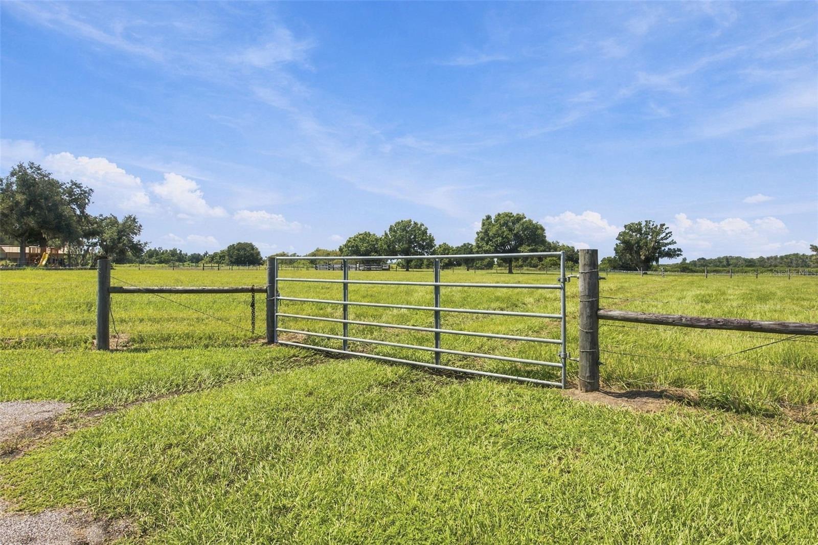 15607 Colding Loop Property Photo 36