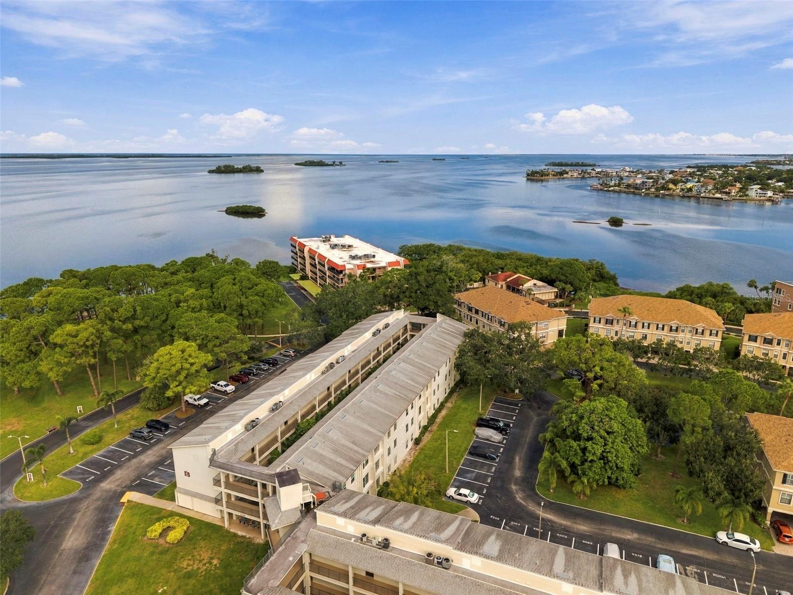 2700 Bayshore Blvd #6200 Property Photo 4