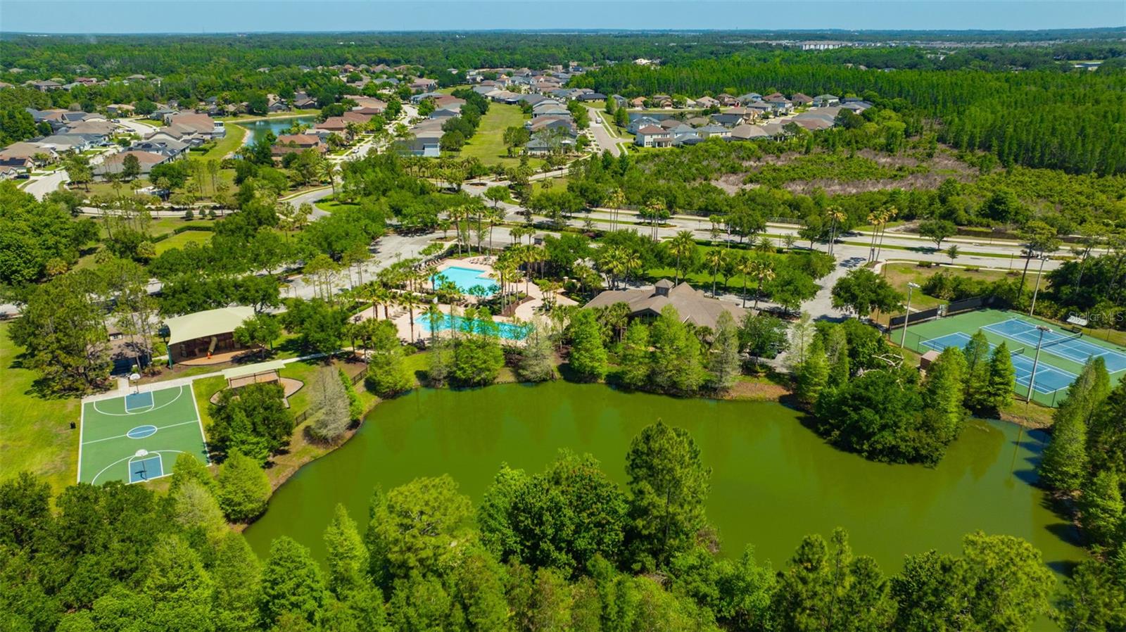 4818 Diamonds Palm Loop Property Photo 48