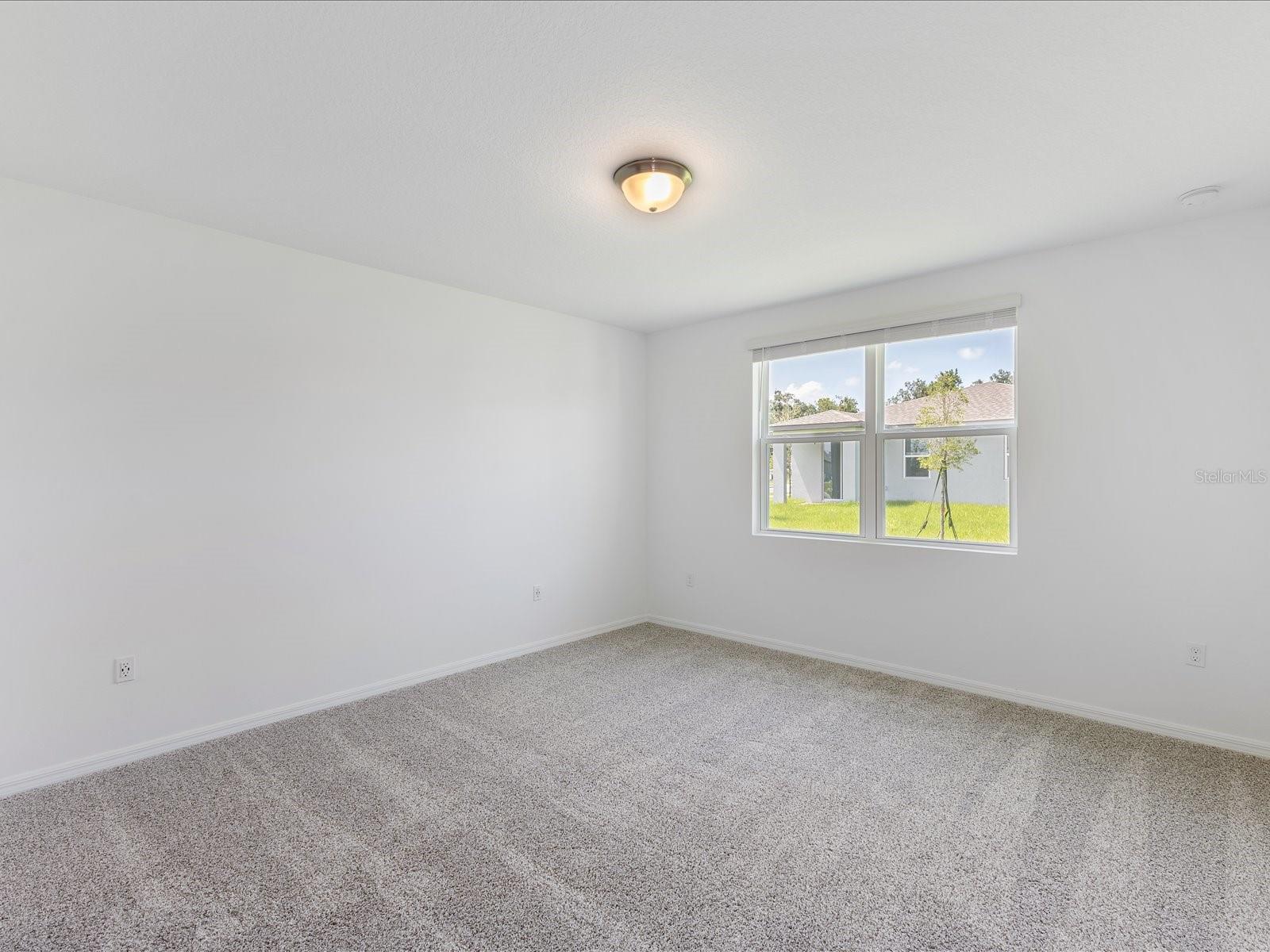 10846 Budding Blossom Ct Property Photo 6