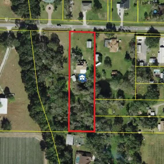 3717 Futch Loop Property Photo 3